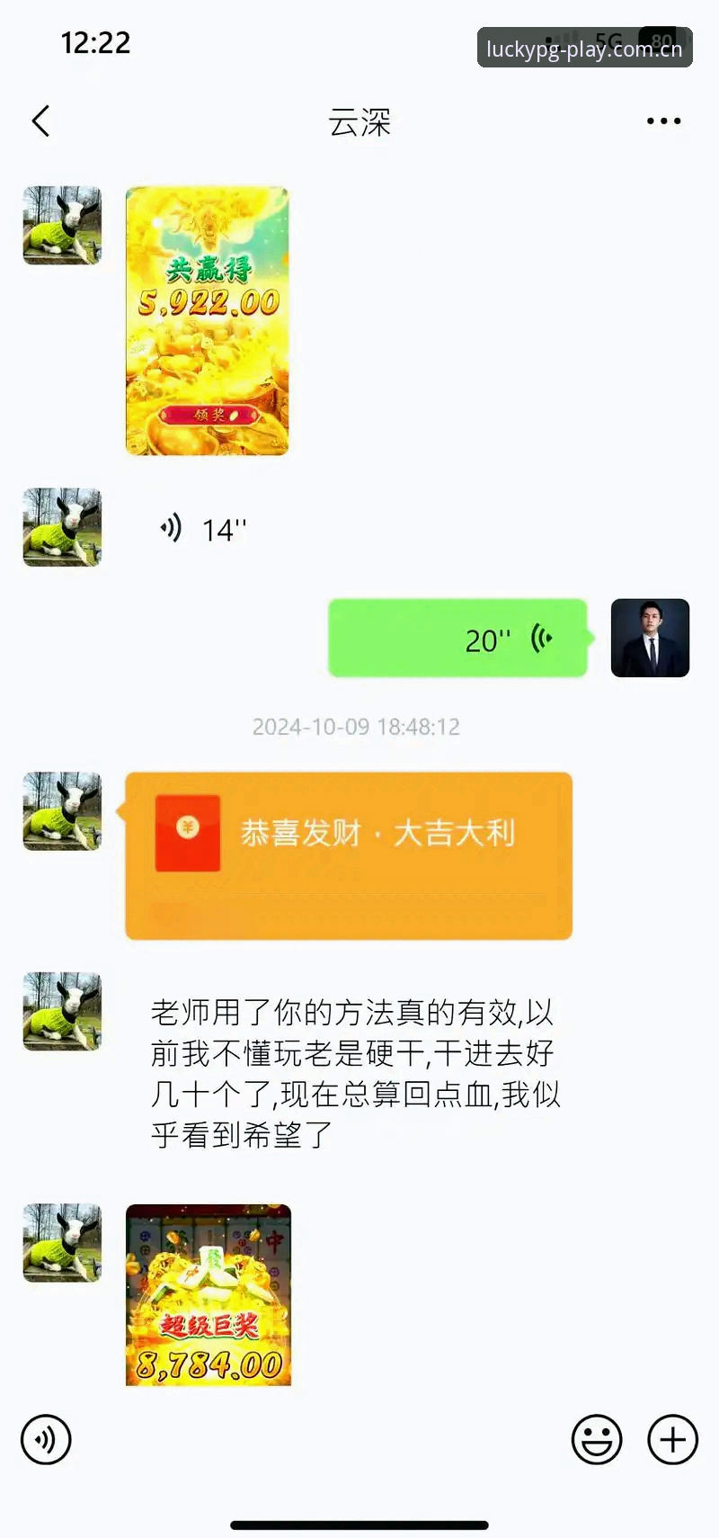 2026PG电子下载 2026PG电子平台全面解析:从版本下载到实用攻略的深度分析